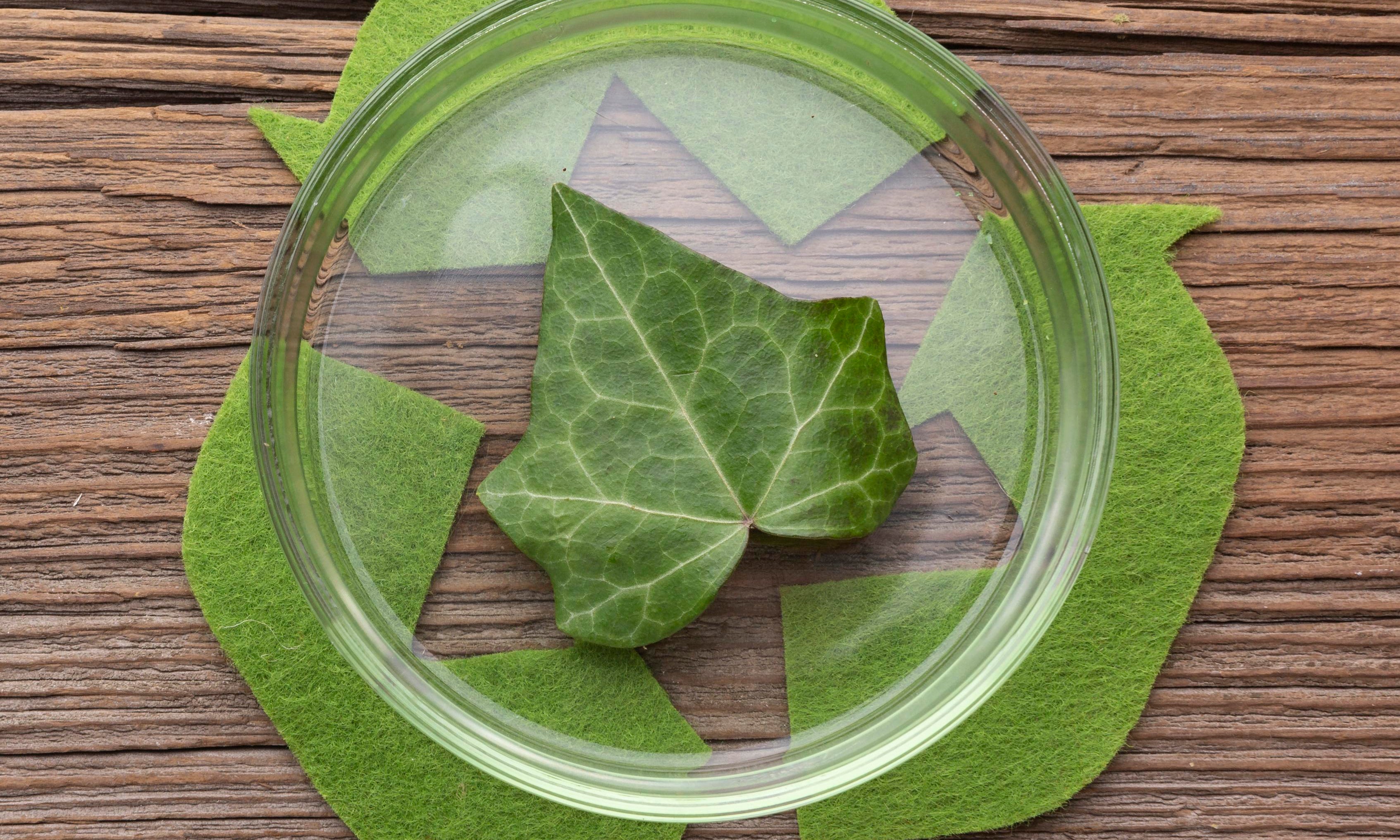 The Current State of Recycling Glass and Plastic Containers in the USA: A Positive Perspective