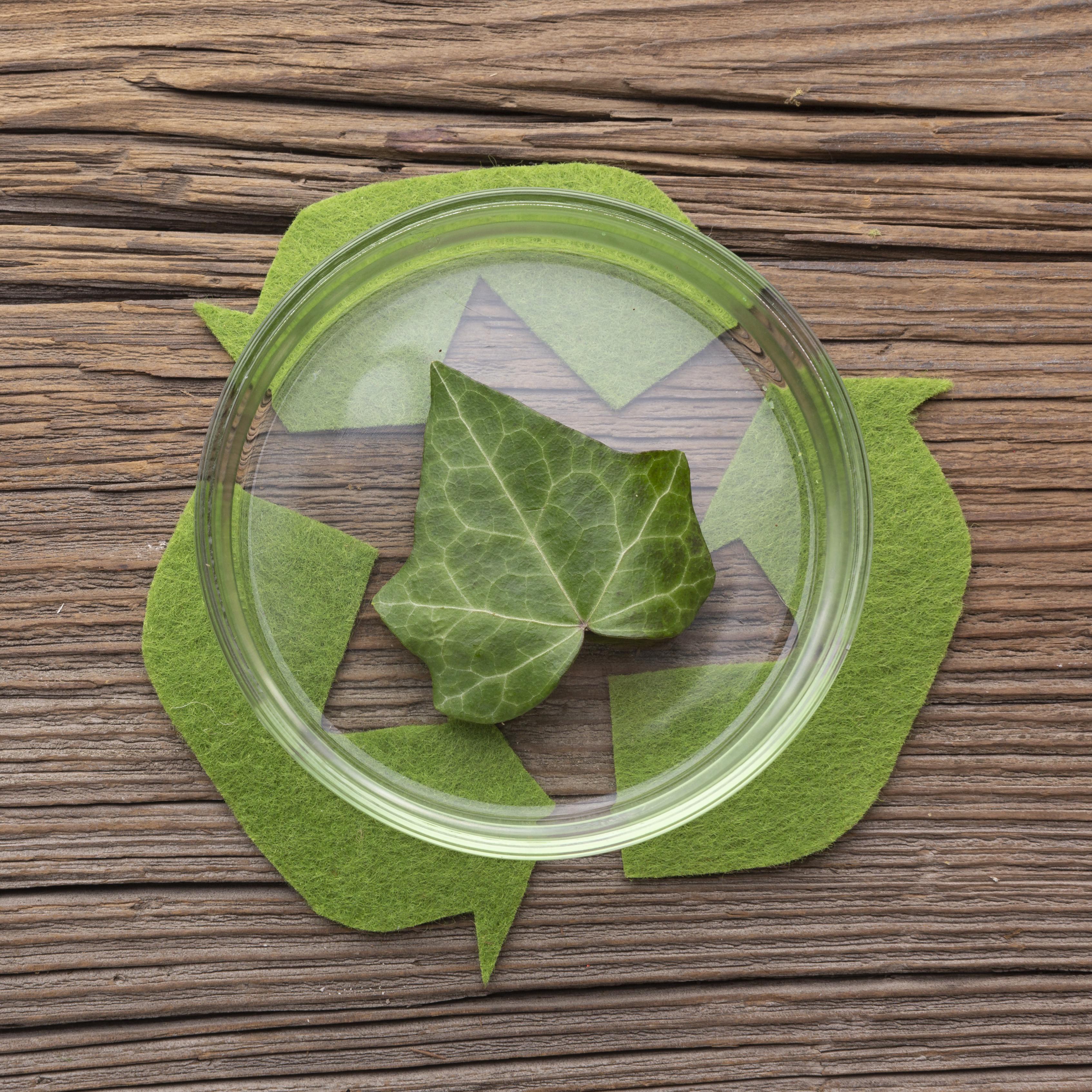 The Current State of Recycling Glass and Plastic Containers in the USA: A Positive Perspective